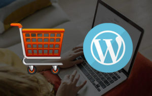 Best WordPress themes for your ecommerce shop
