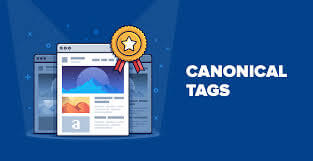 Canonical URLs: A Beginner’s Guide to Canonical Tags