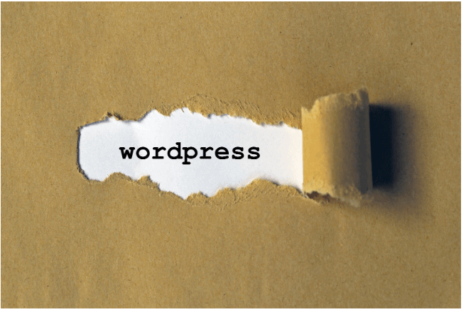 Boost Your Blog Traffic with these WordPress SEO Techniques